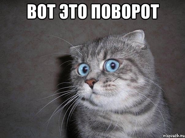То как он это сделал поражает 894