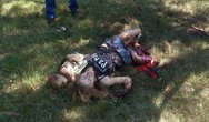 ФБР считает, что Россия помогла Дональду Трампу выиграть выборы