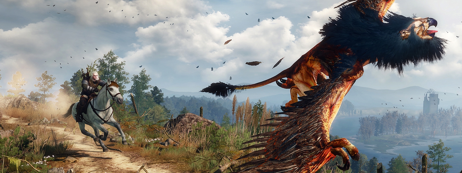 В The Witcher 3: Wild Hunt будет режим с перманентной смертью - Shazoo