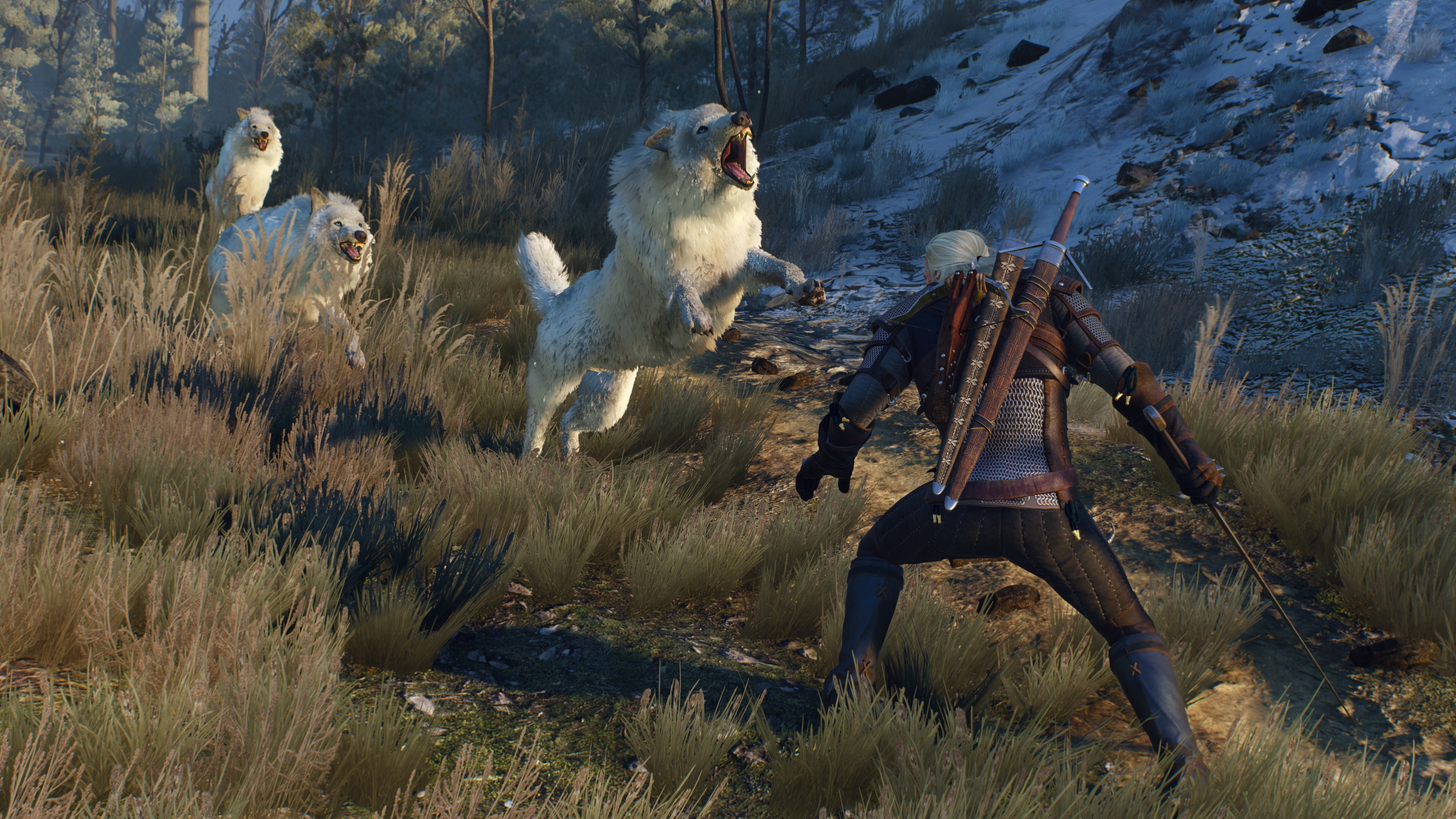 Quest guide the witcher 3 фото 68