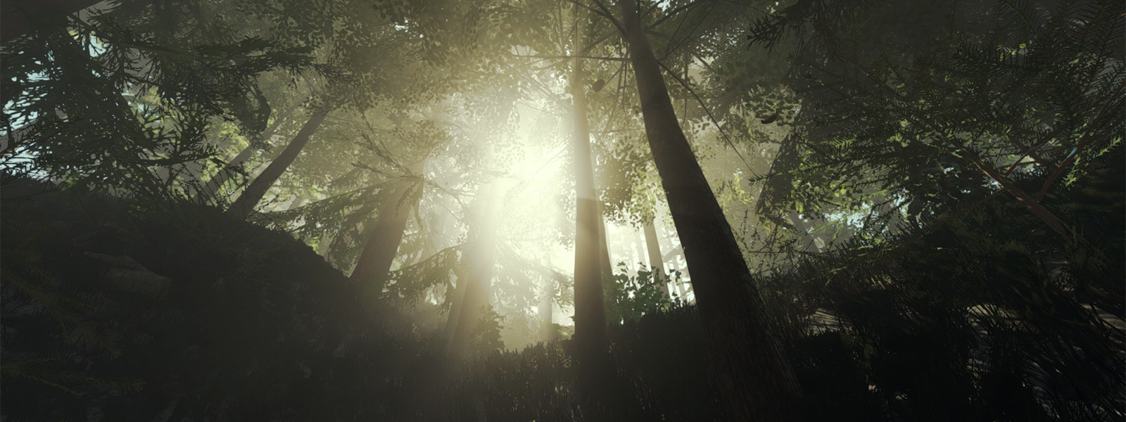 The Forest перешел на Unity 5 - Shazoo