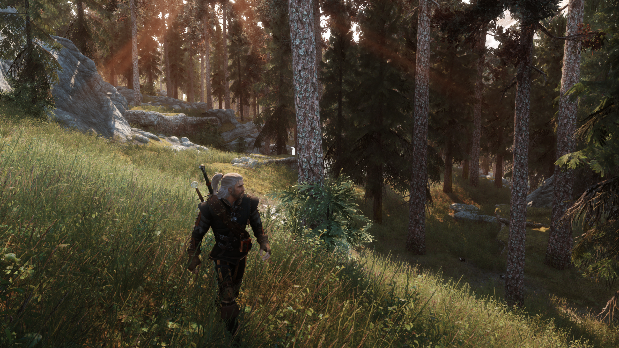 The witcher 3 all soundtracks фото 88