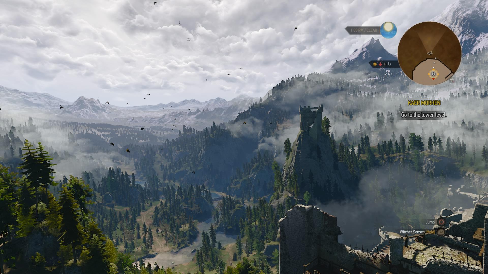 Nvidia drivers the witcher 3 фото 16