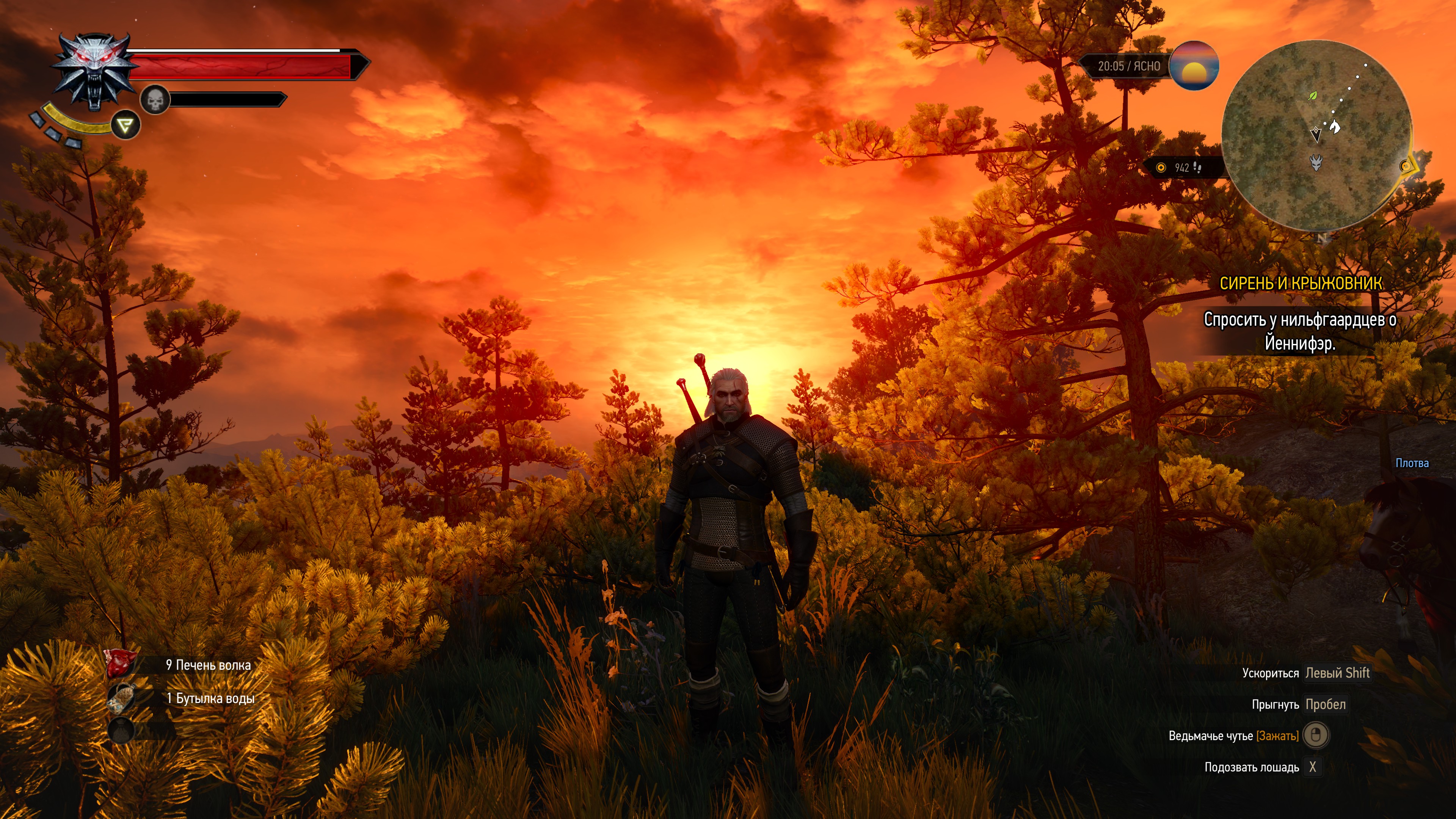 Состоялся релиз The Witcher 3: Wild Hunt - Shazoo