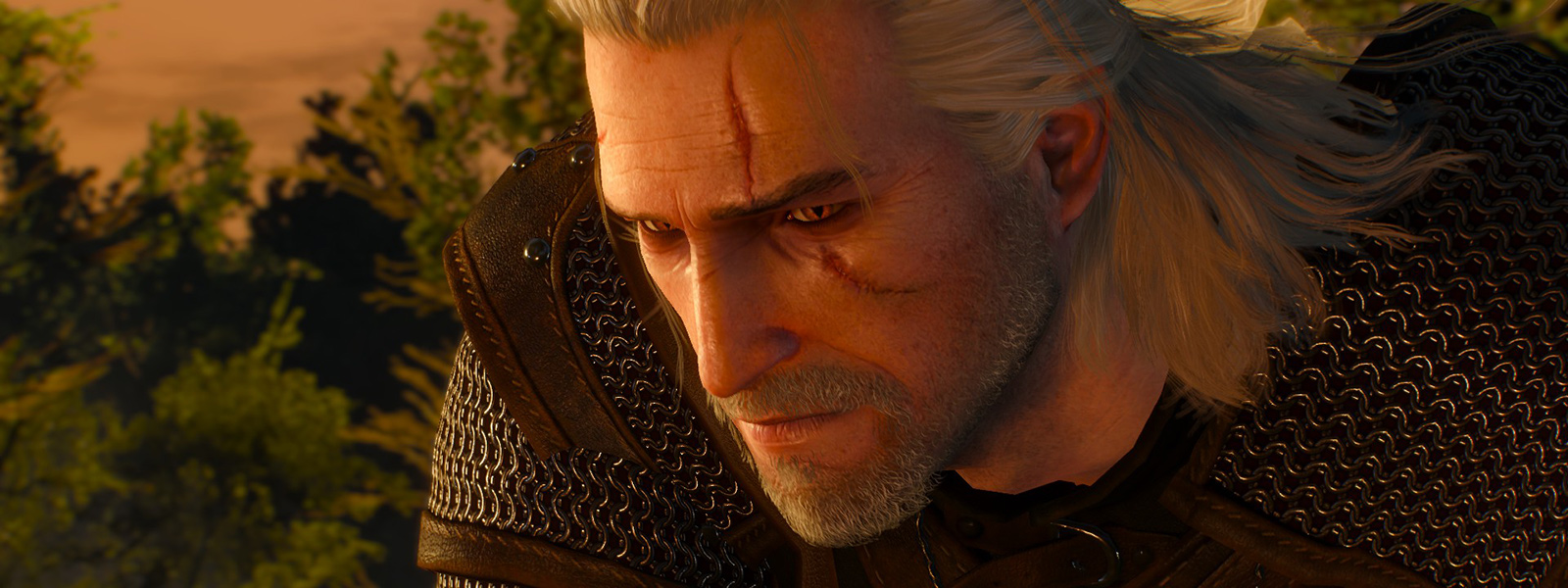 The witcher 3 вылетает при сохранении фото 32