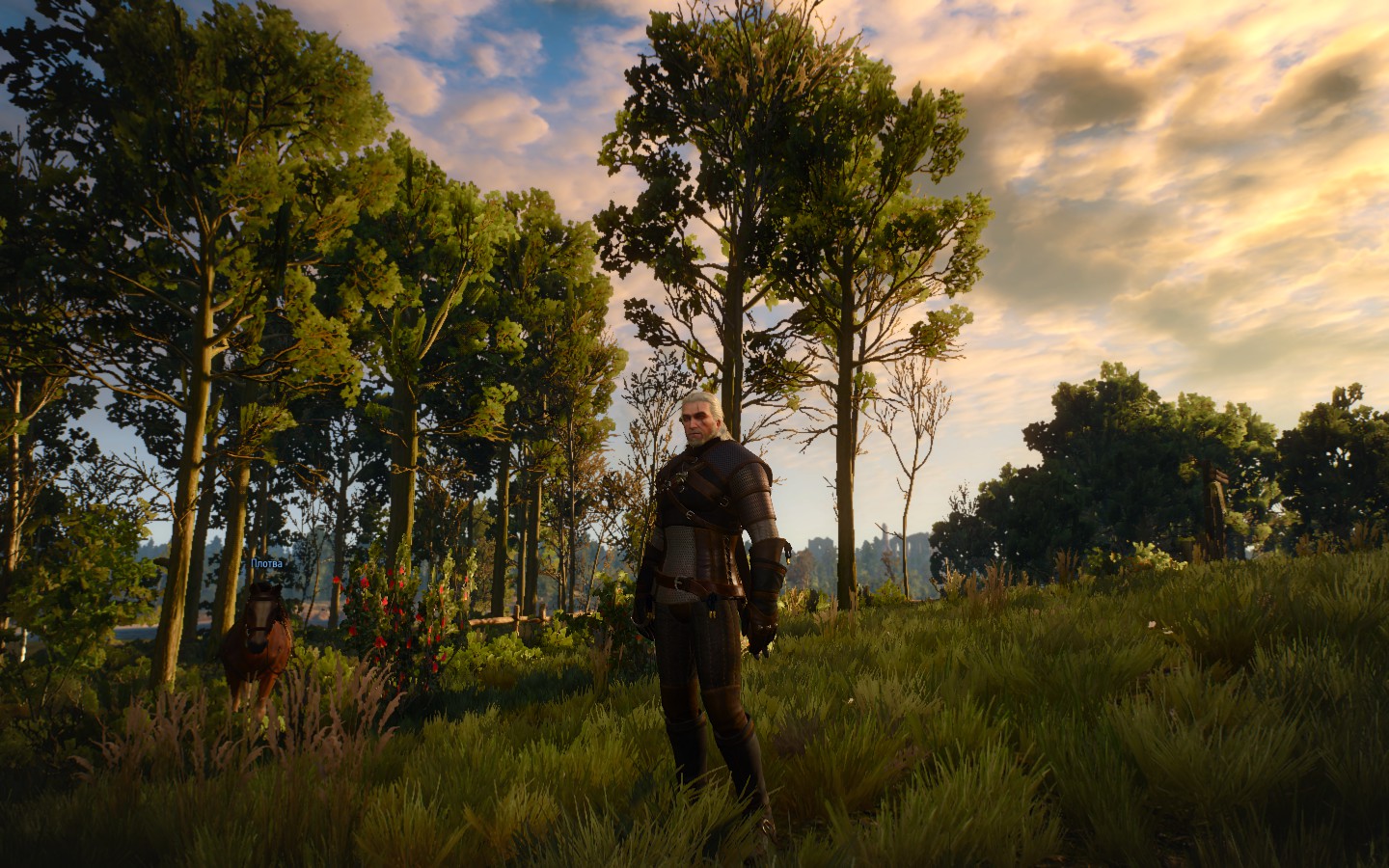 Баги, ошибки, вылеты The Witcher 3 – решения - Shazoo