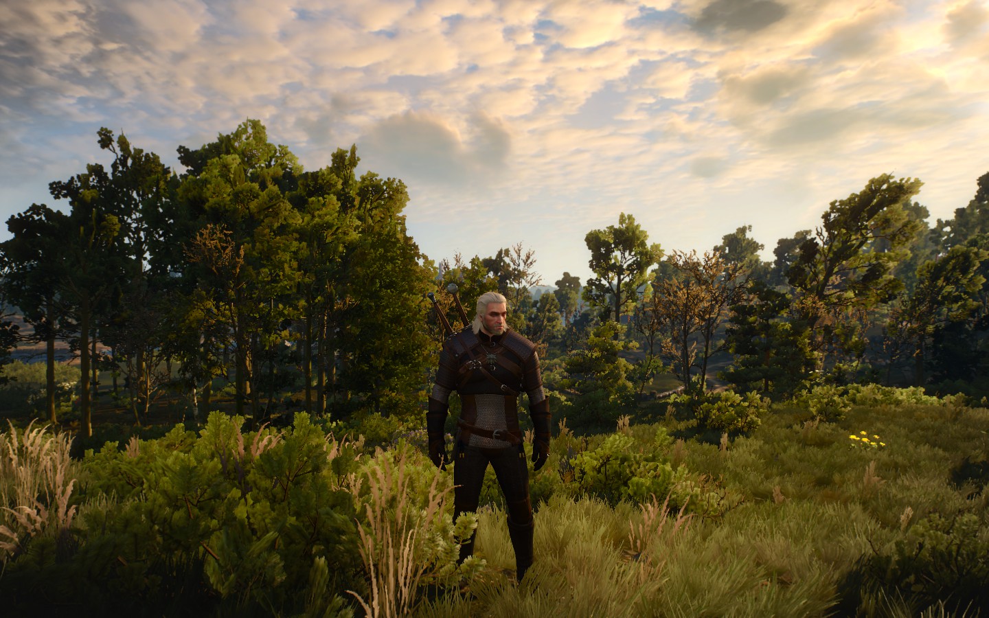 The witcher 3 зависает в игре фото 18