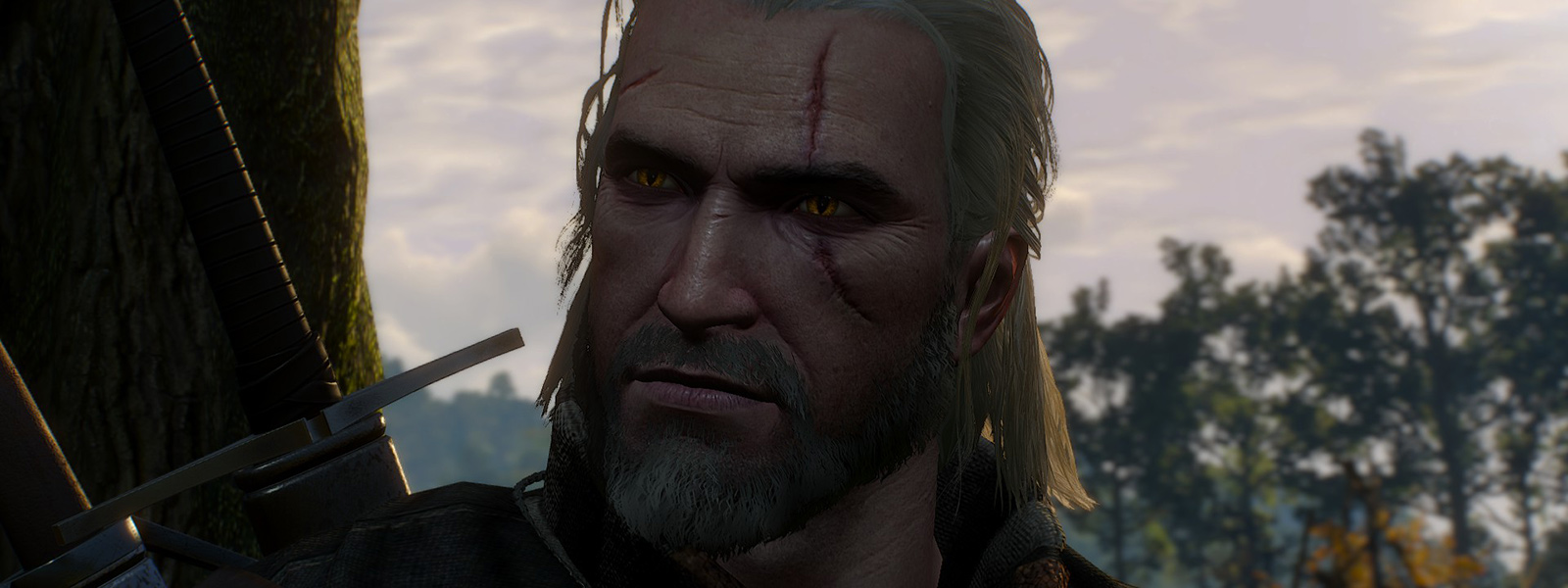 Гайд The Witcher 3: Броня Охотника на Ведьм и Мастер Оружейник и Кузнец -  Shazoo