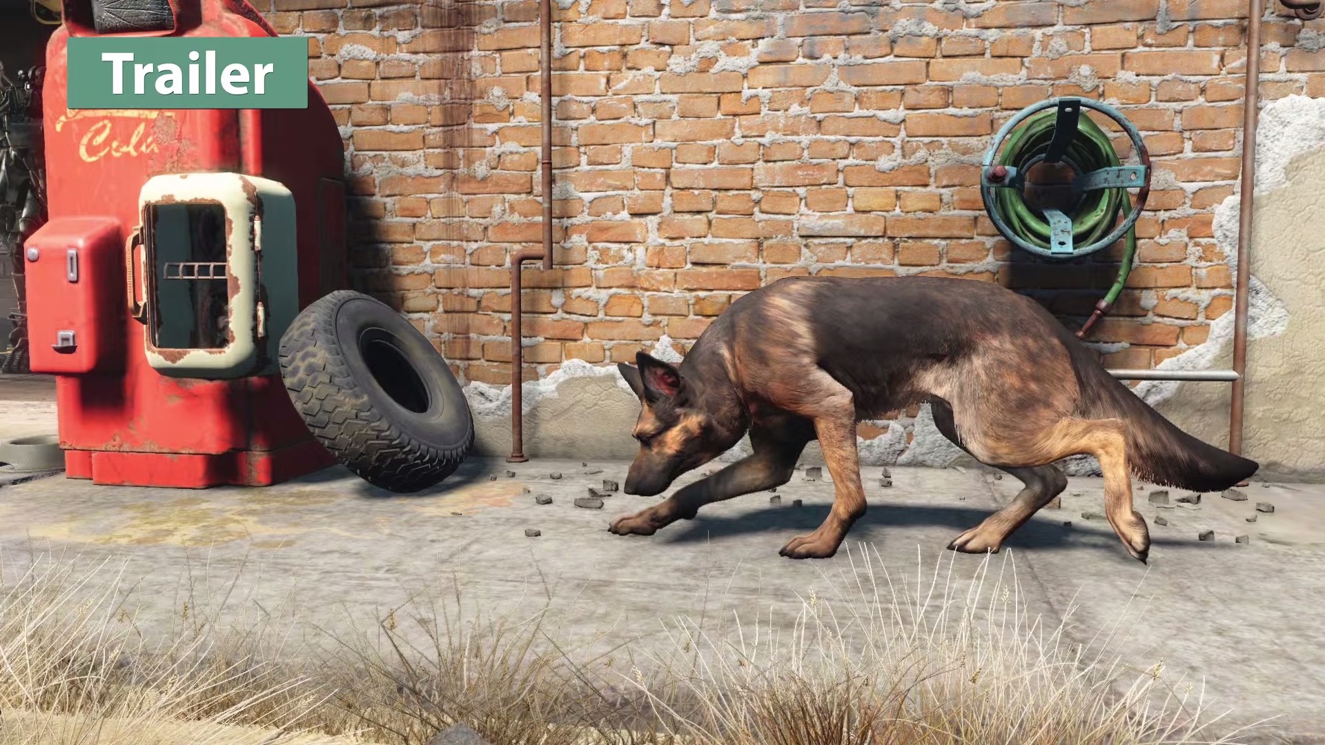 Fallout 4 собака фото 60