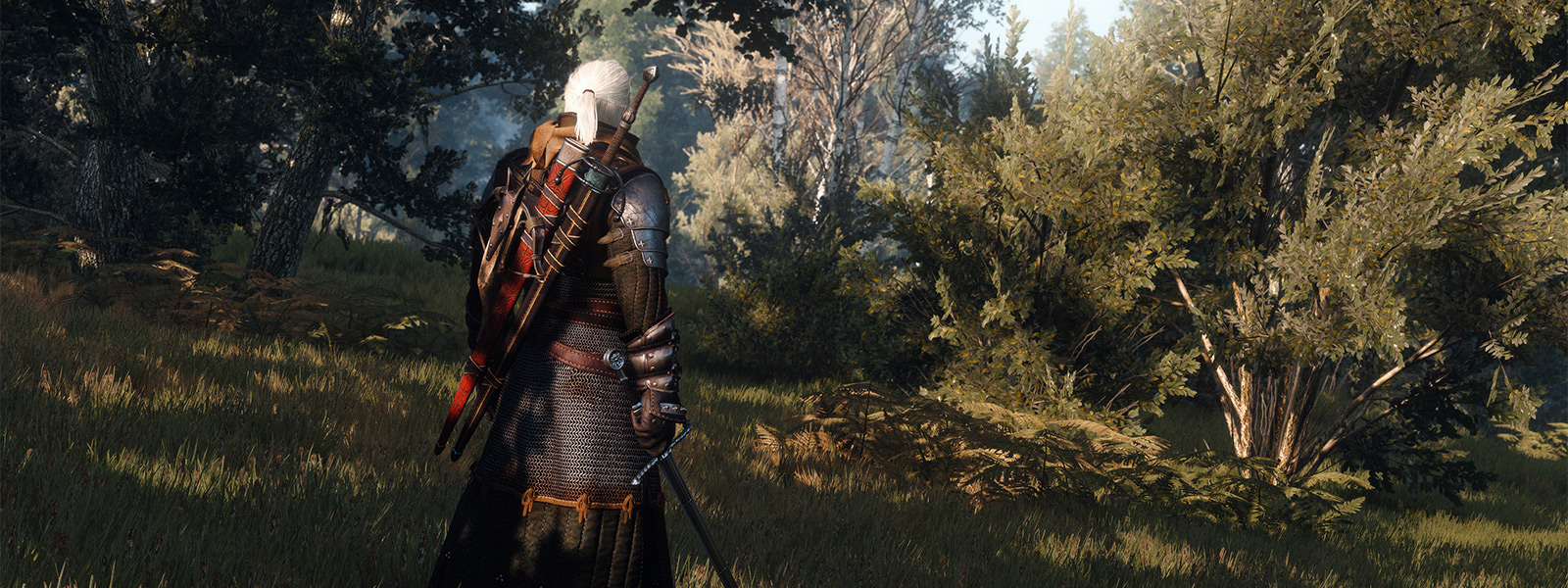 The Witcher 3: Бесплатные DLC должны быть нормой, а не исключением - Shazoo