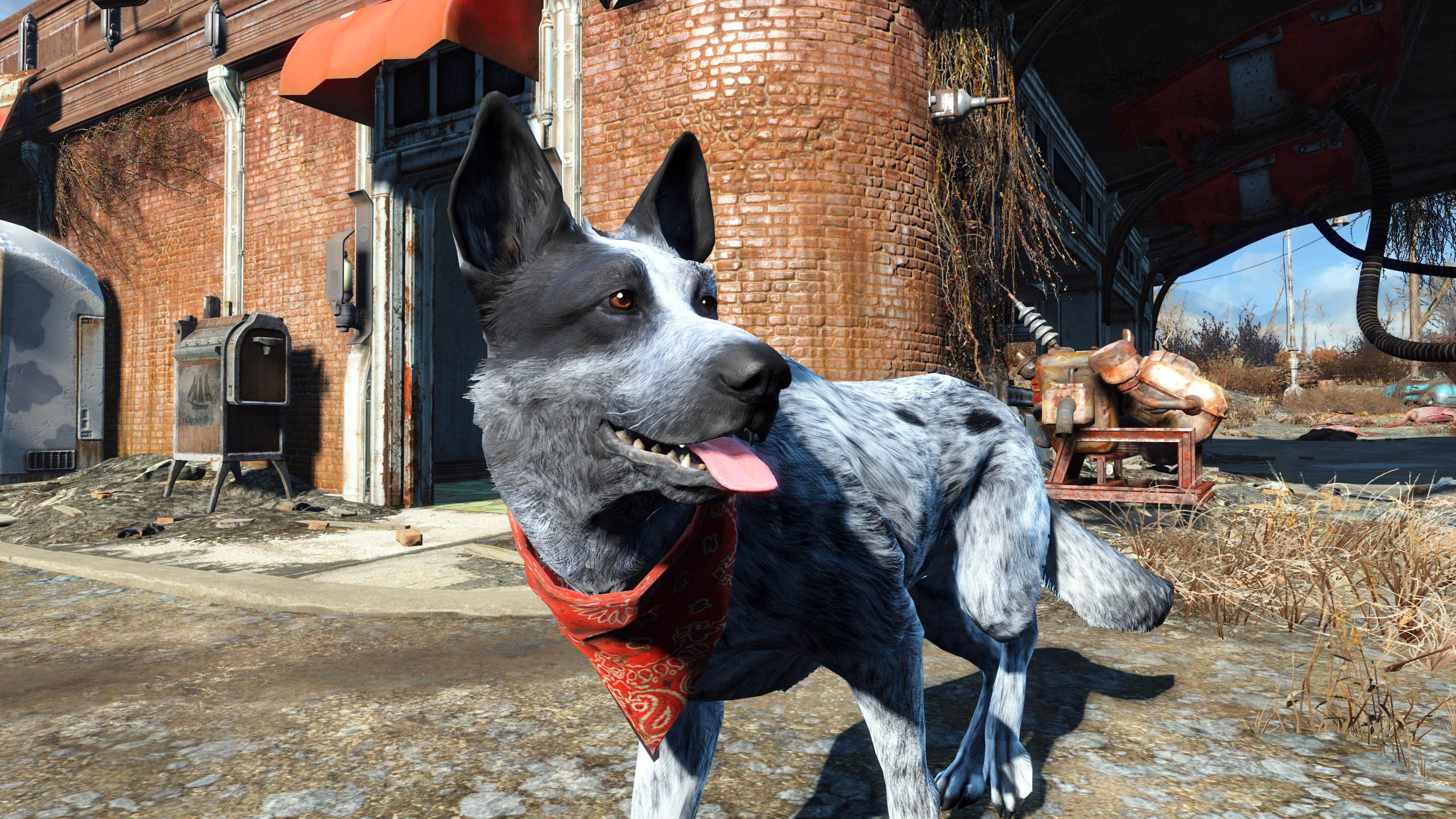 Fallout 4 будка для собаки фото 67