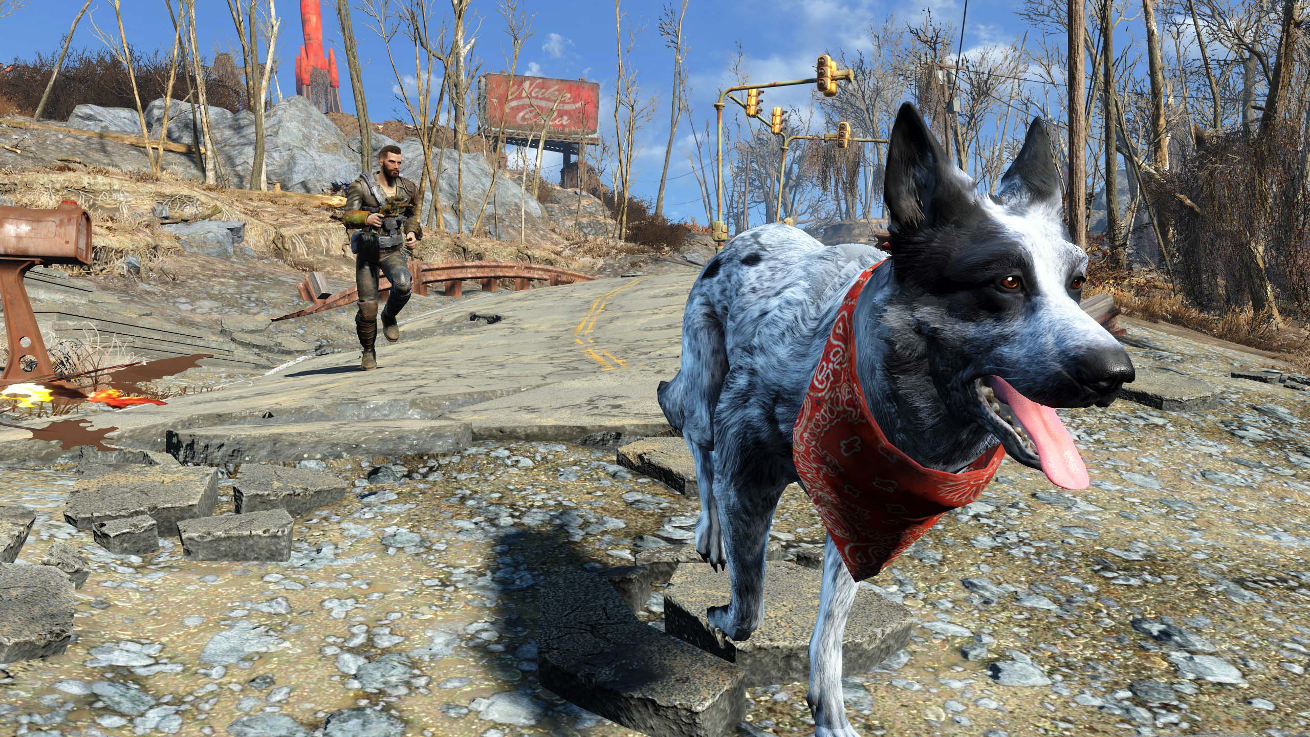 Fallout 4 как оставить пса фото 37