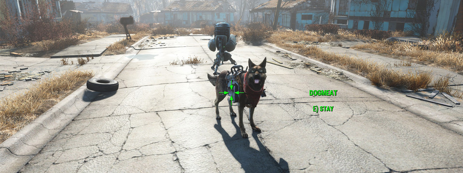 Как найти потерянную собаку Псину в Fallout 4?