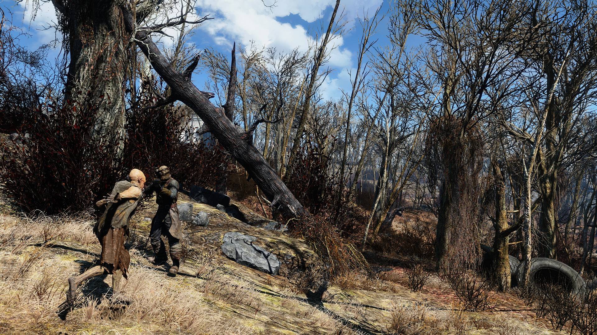 Fallout 4 как ставить enb фото 84