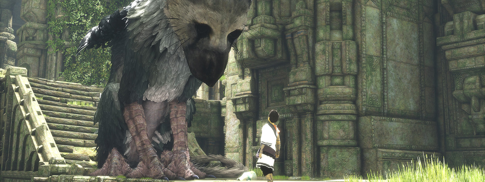 Новые детали The Last Guardian, релиз точно в этом году - Shazoo