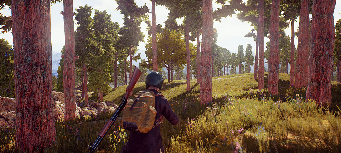 Pubg размытая картинка