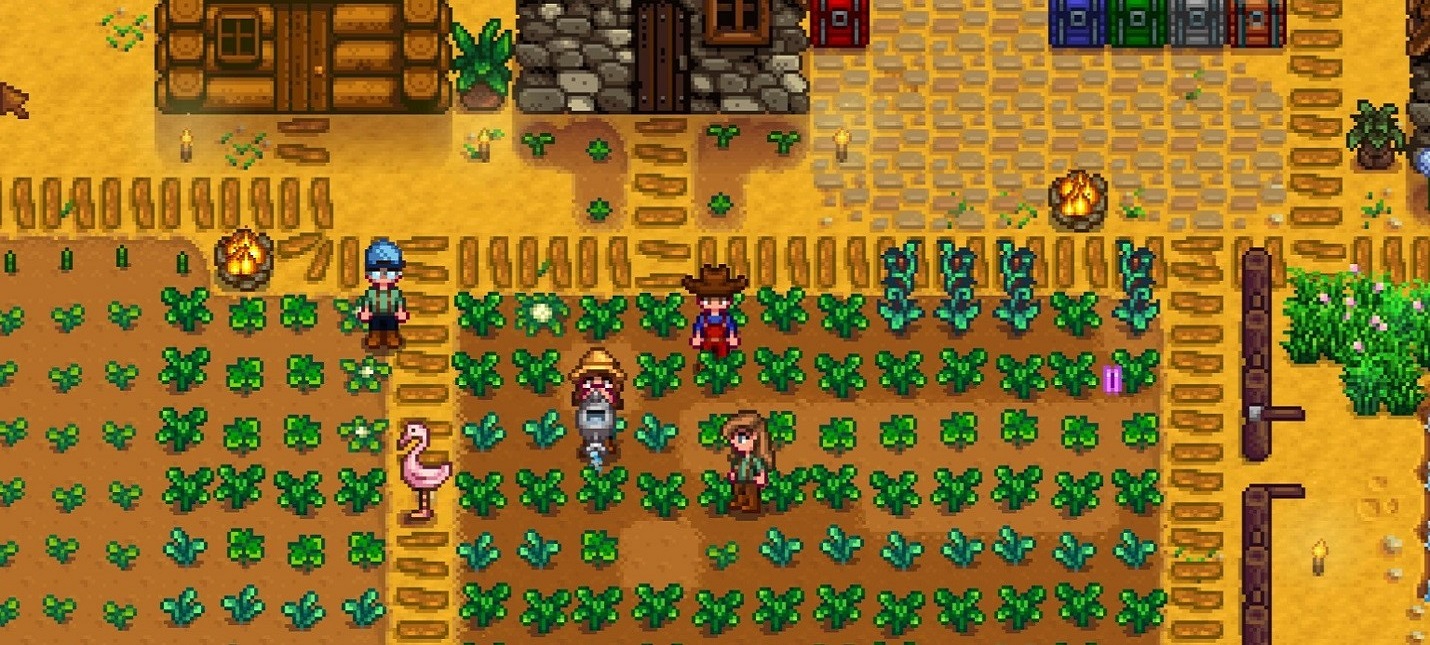 How to play stardew valley local multiplayer switch