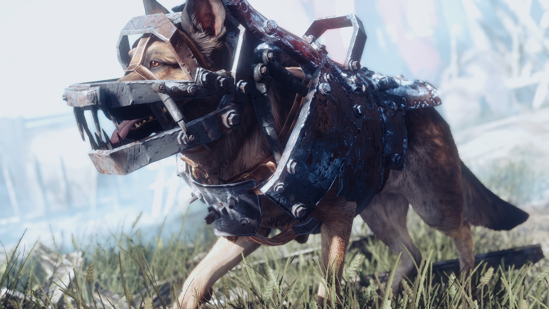 Fallout 4 надеть на собаку фото 77