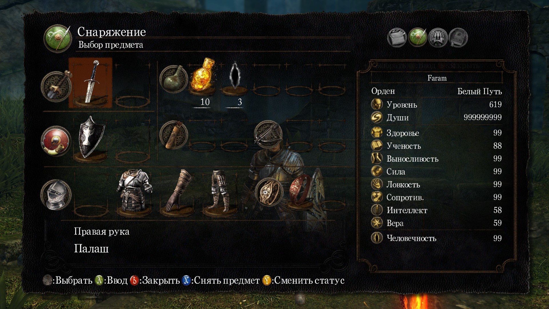 Dark souls remastered человечность. Костюм ордена душ. Dark Souls Remastered читы на души. Камень очищения Dark Souls 1 Remastered. Dark Souls Remastered палаш.