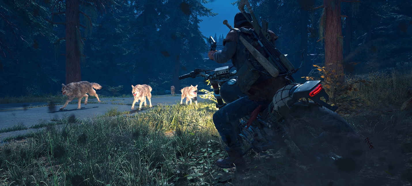 pictures Игра Days Gone 2019 года изображения photo Игра Days Gone 2019 года изображения