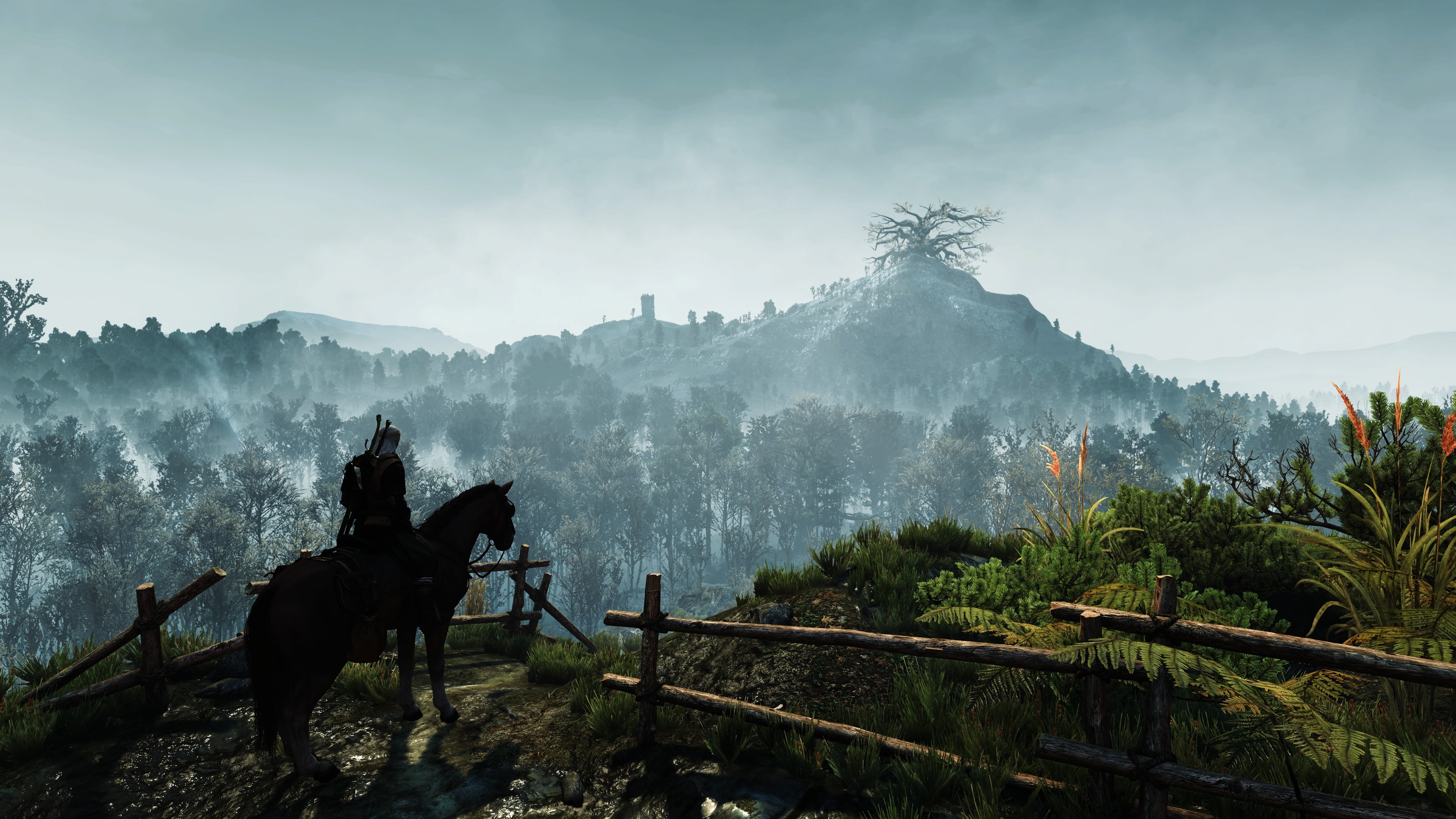 The witcher 3 nvidia ansel фото 83