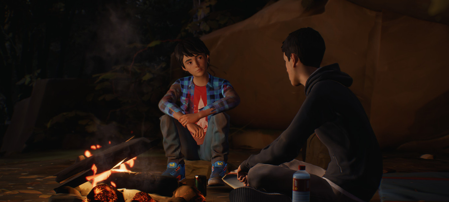 Вышел видеодневник разработчиков Life is Strange 2 об отличиях от первой части