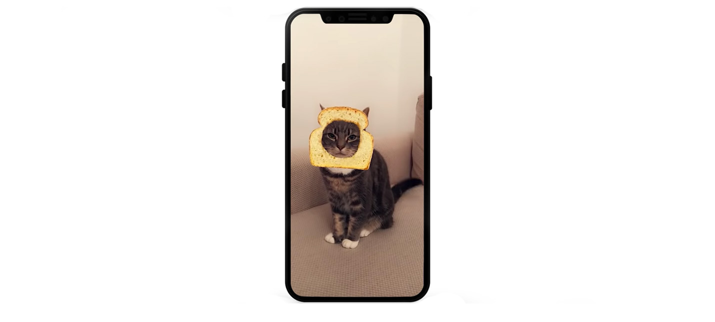 Snapchat получил фильтры для кошек