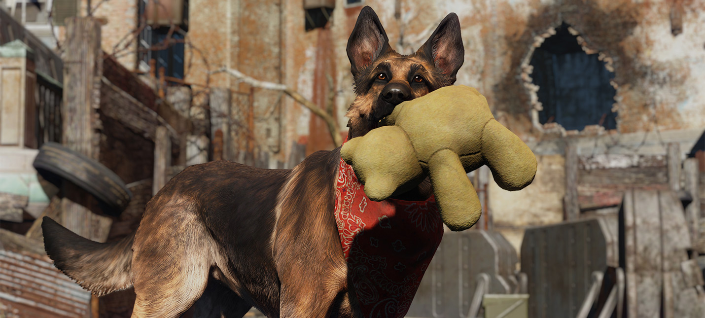 Fallout 4 еще одну собаку фото 9