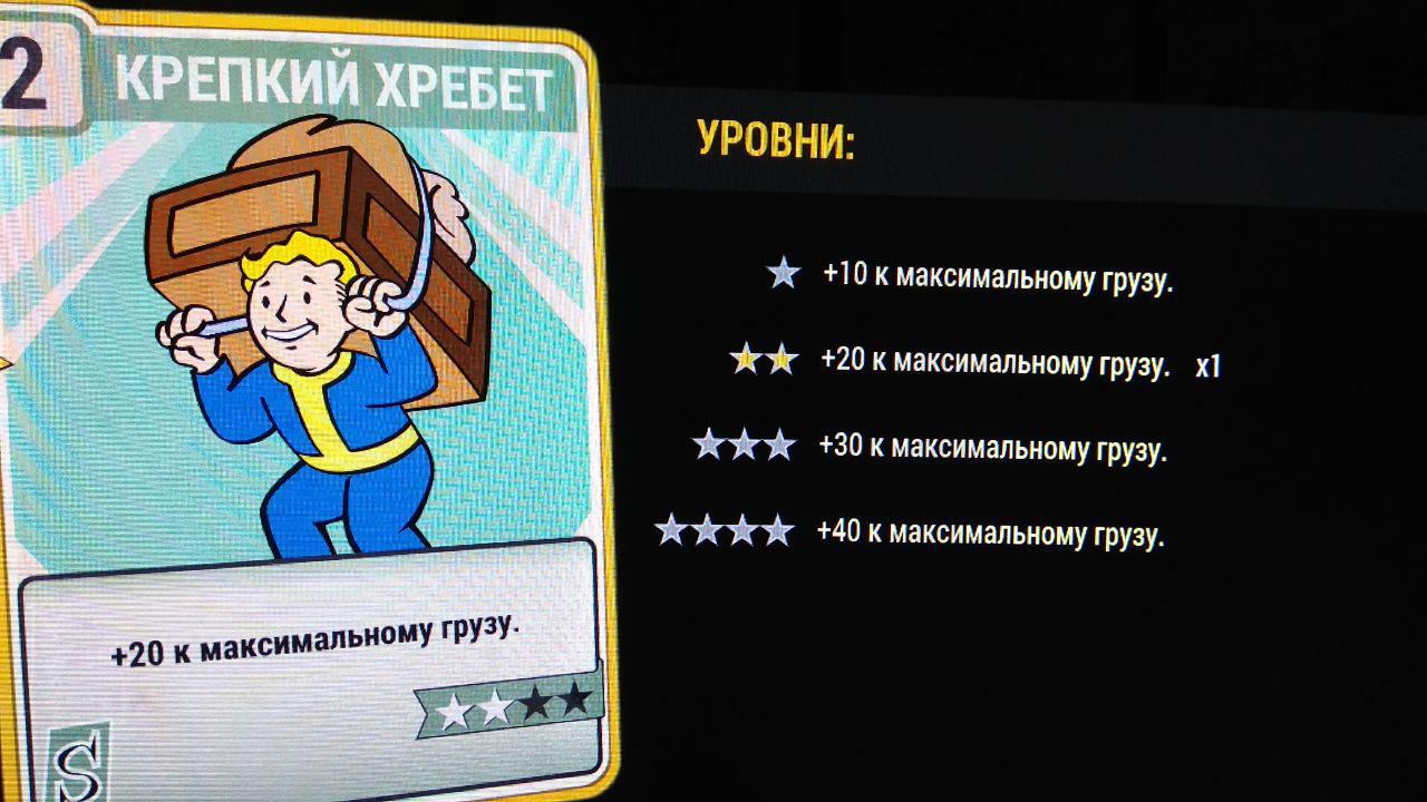 Баги, ошибки, отсутствие звука и другие проблемы Fallout 76 — решения -  Shazoo