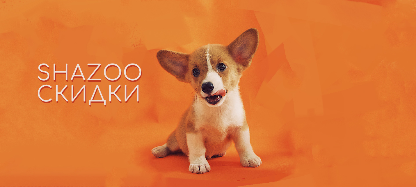 Мморпг сверху катакомбы. Ru logo png. Шазоо. Shazoo logo. Шазоо.