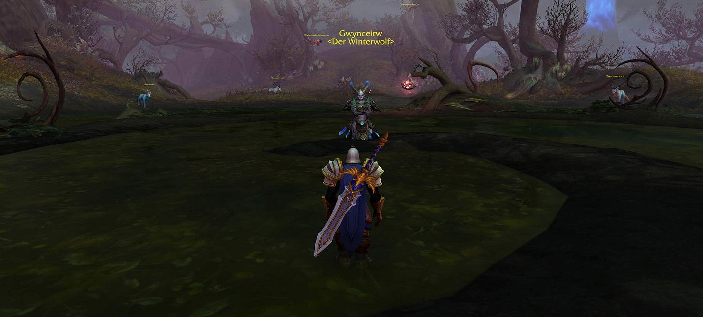 В бете World of Warcraft: Shadowlands обнаружили отсылку к "Ведьмаку"