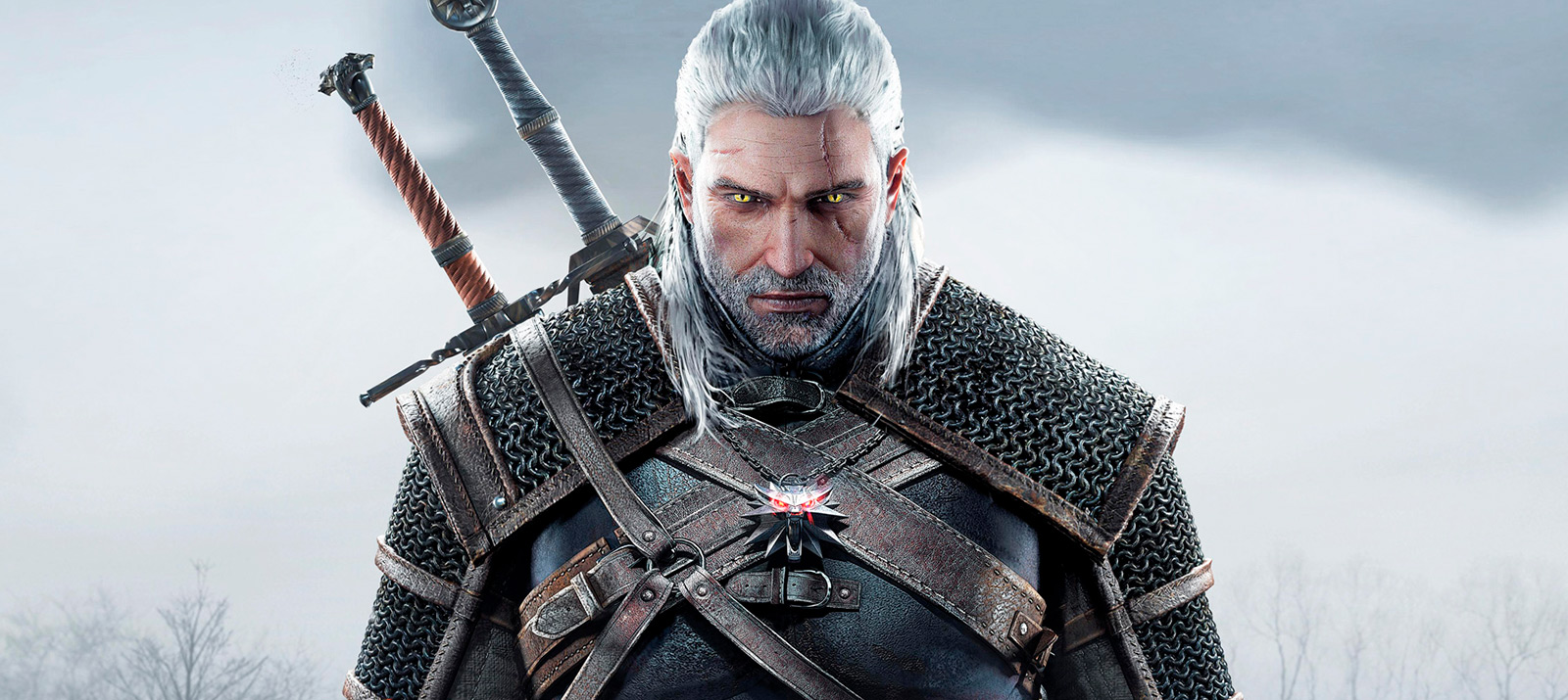 The witcher 3 серия игр фото 109