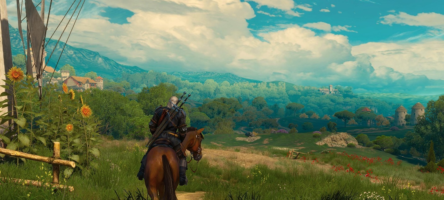 дополнение для the witcher 3 фото 80