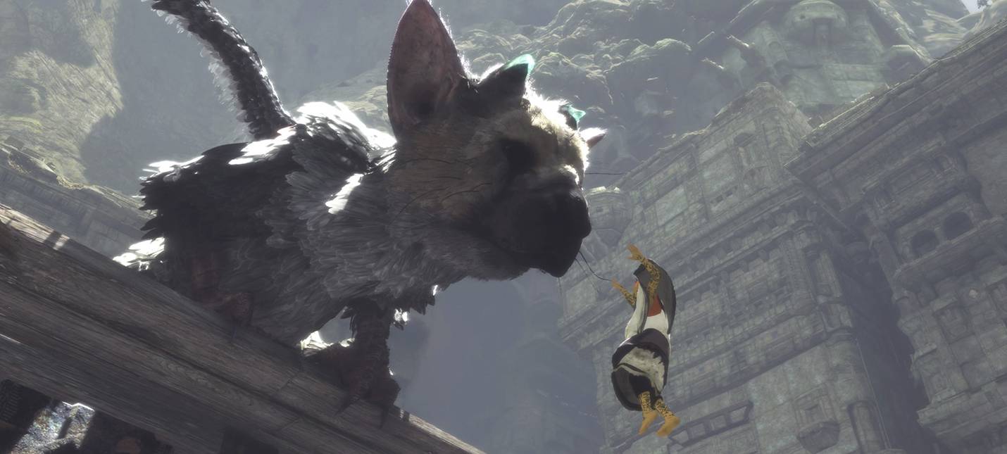 Дисковая версия The Last Guardian без патчей работает на PS5 в 60 FPS -  Shazoo