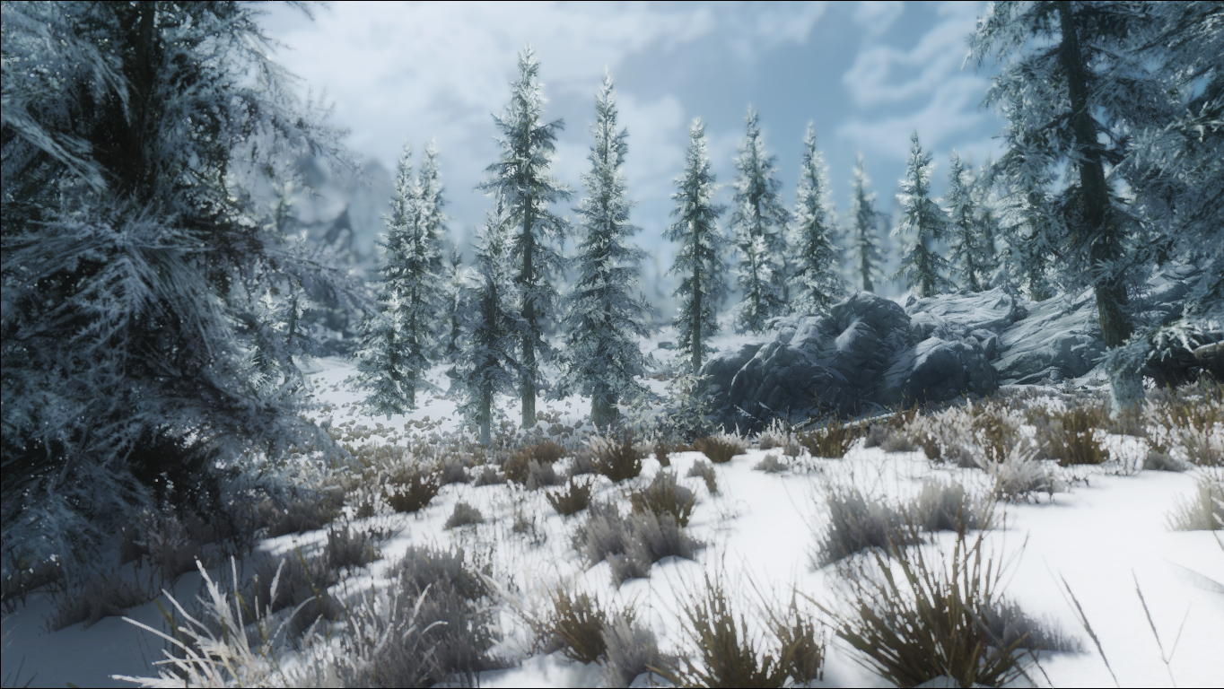 2 зимы и 3. The Elder Scrolls v: Skyrim зима. Снежный скайрим. Skyrim Snowfall. Скайрим Снежная локация.