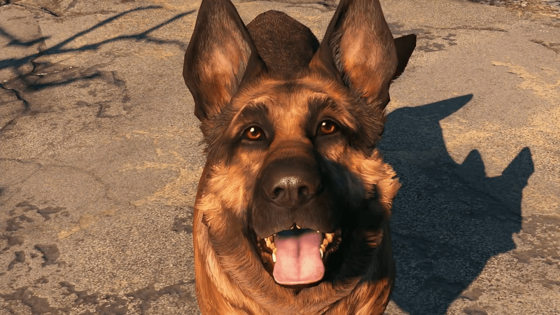 Fallout 4 собака