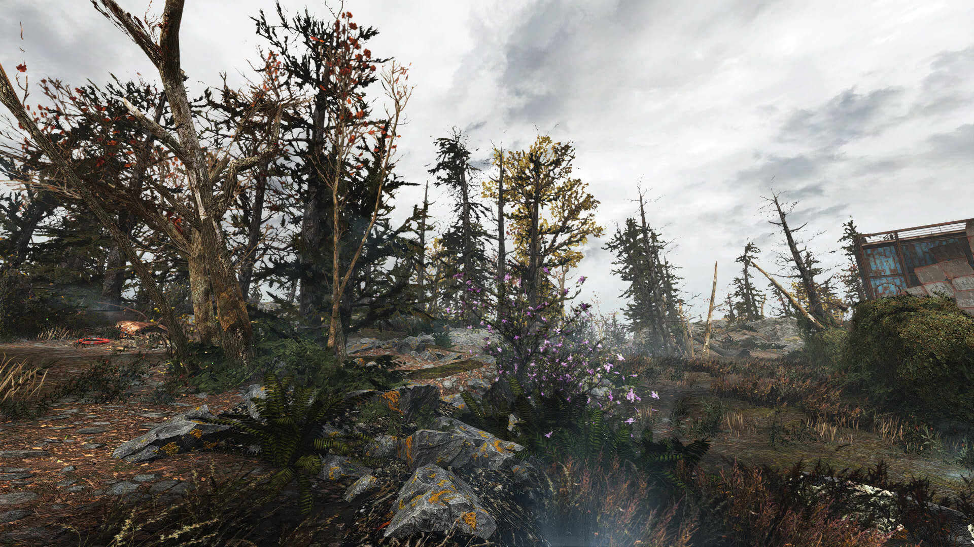 Fallout 4 лагает в лесу фото 8