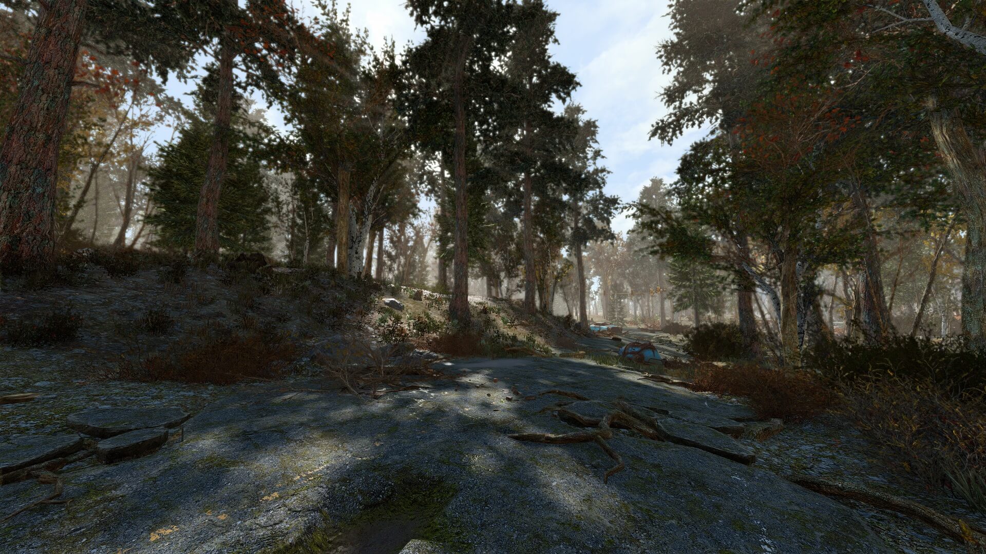 Fallout 4 деревья и трава фото 7
