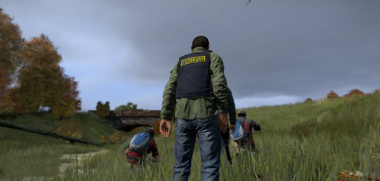               DayZ Standalone  