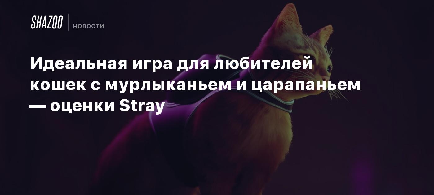 Идеальная игра для любителей кошек c мурлыканьем и царапаньем — что говорят  про Stray с котиком в главной роли - Shazoo