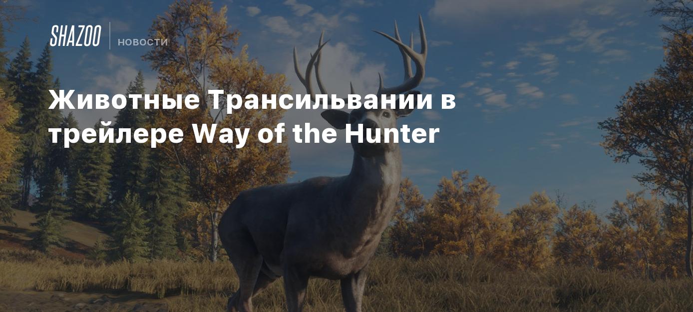 Животные Трансильвании в трейлере Way of the Hunter - Shazoo