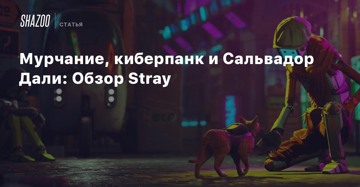 Мурчание, киберпанк и Сальвадор Дали: Обзор Stray - Shazoo