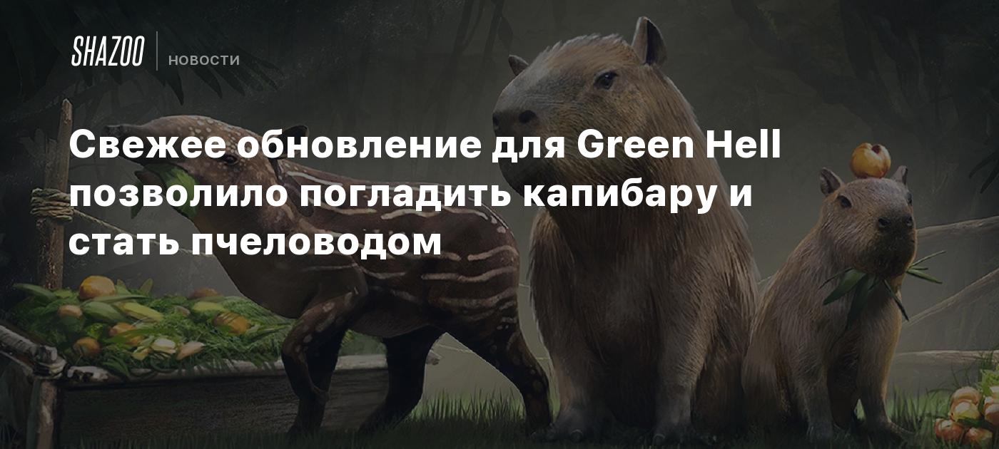 Свежее обновление для Green Hell позволило погладить капибару и стать  пчеловодом - Shazoo