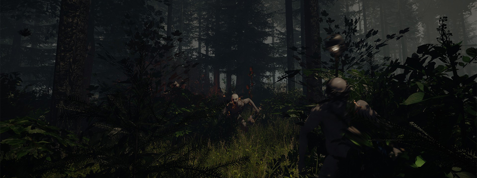 The Forest появится в Раннем Доступе Steam в ближайшие месяцы - Shazoo