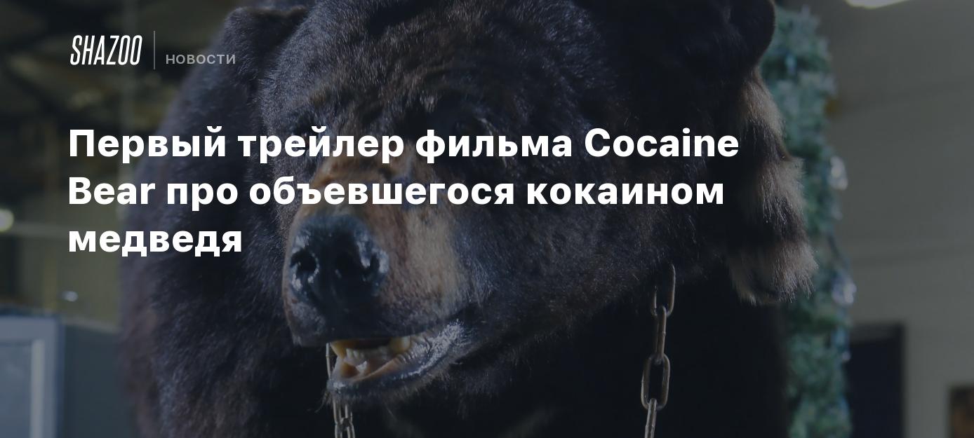 Первый трейлер фильма Cocaine Bear про объевшегося кокаином медведя - Shazoo