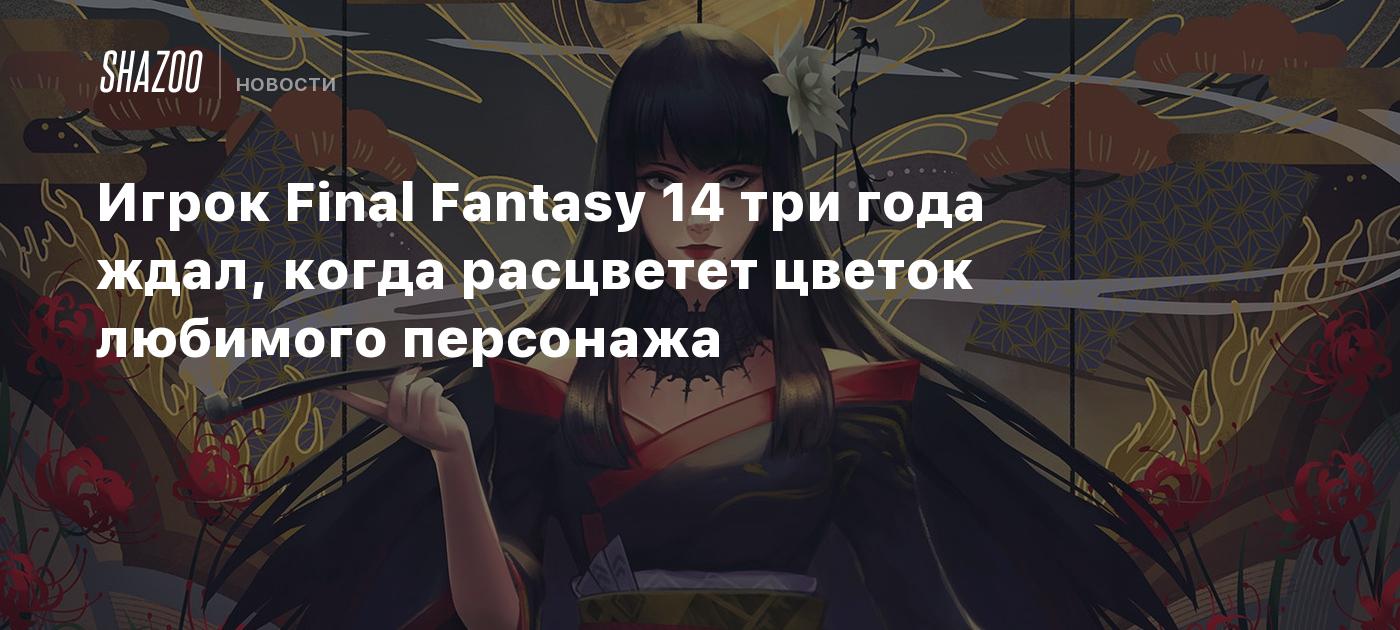 Игрок Final Fantasy 14 три года ждал, когда расцветет цветок любимого  персонажа - Shazoo