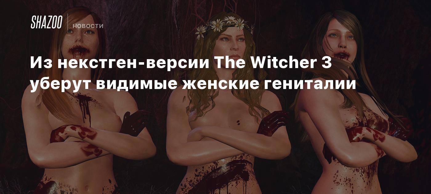 Из некстген-версии The Witcher 3 уберут видимые женские гениталии - Shazoo