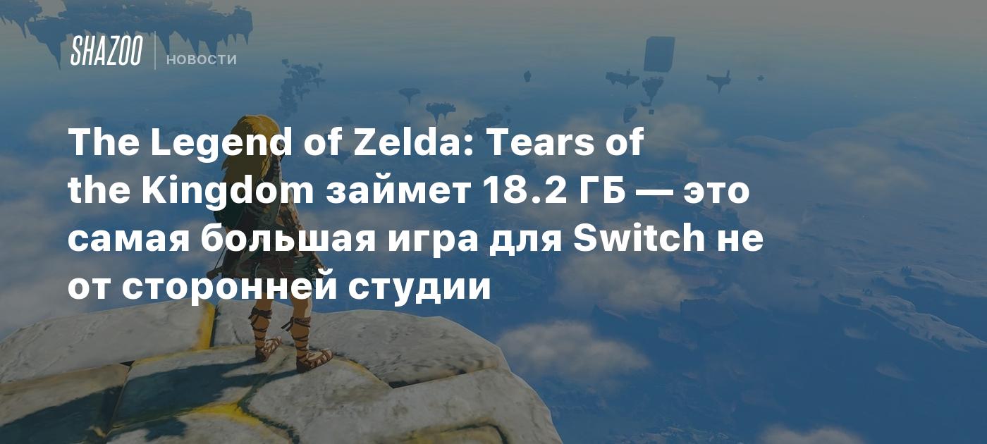 The Legend of Zelda: Tears of the Kingdom займет 18.2 ГБ — это самая  большая игра для Switch не от сторонней студии - Shazoo