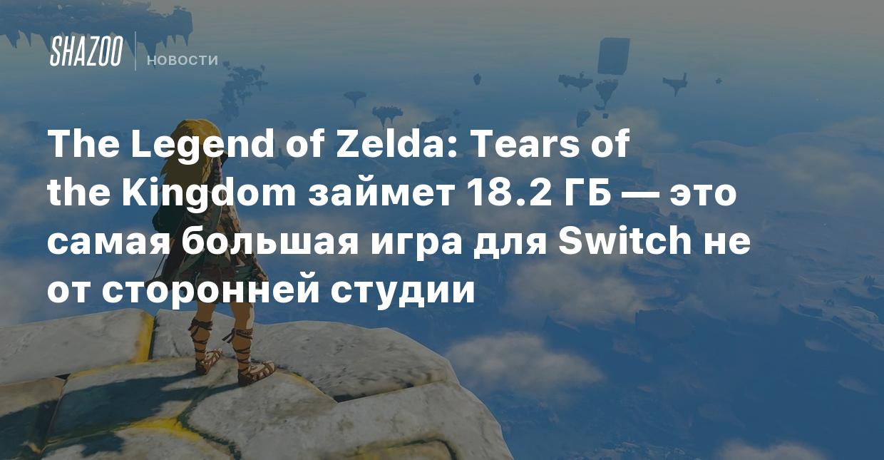 The Legend of Zelda: Tears of the Kingdom займет 18.2 ГБ — это самая большая  игра для Switch не от сторонней студии - Shazoo