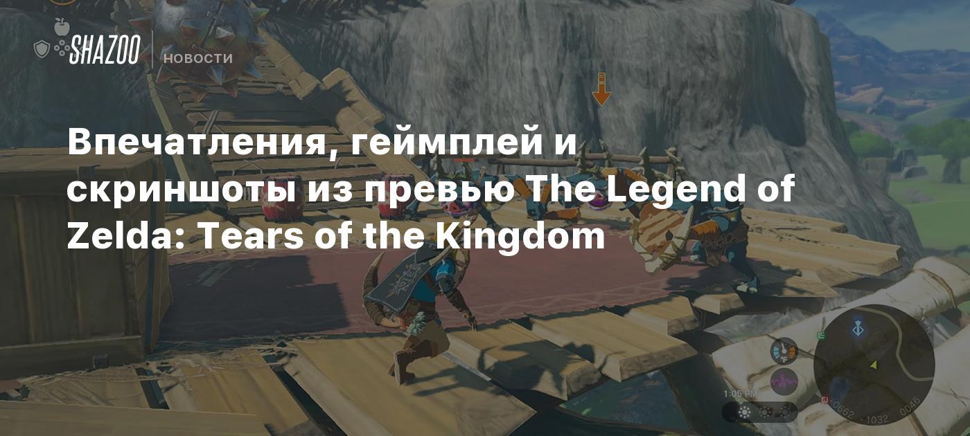 Впечатления, геймплей и скриншоты из превью The Legend of Zelda: Tears of  the Kingdom - Shazoo